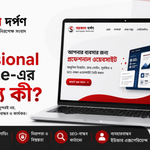 একটি Professional Website-এর বৈশিষ্ট্য কী?